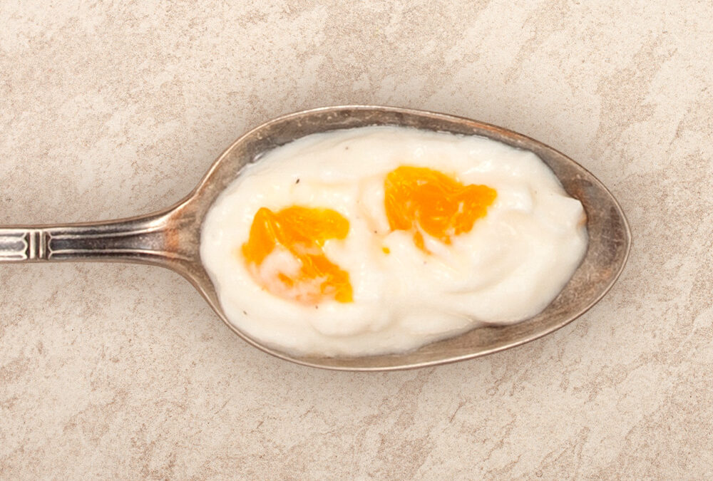 GMF_Bowl_16315_JoghurtMandarine