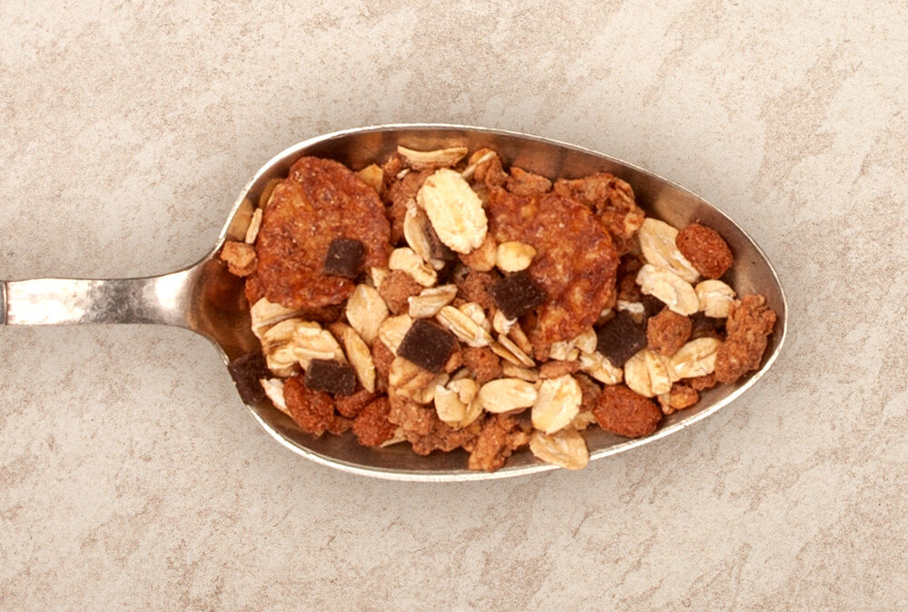 GMF_Bowl_16625_SchokoMuesli