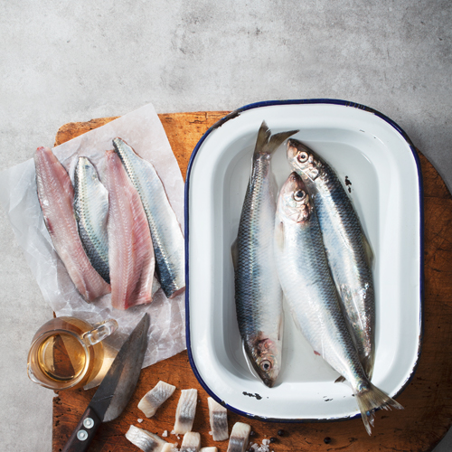 GMF_Download_Heringssalate