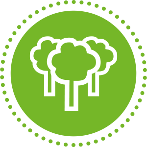 GMF_Nachhaltigkeit_Icon_Emissionen_03