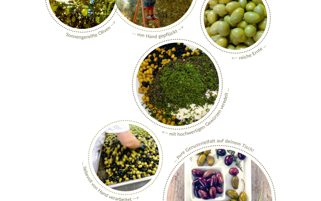 GMF_Oliven_Anbau