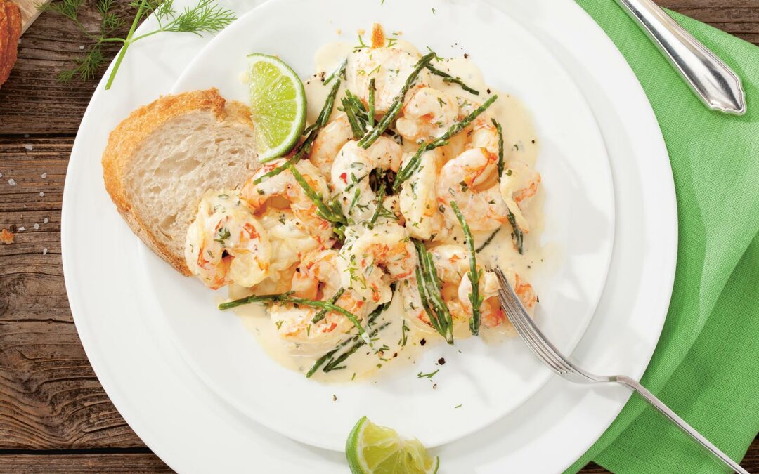 GMF_Slider_Riesengarnele_OrangeSeespargel