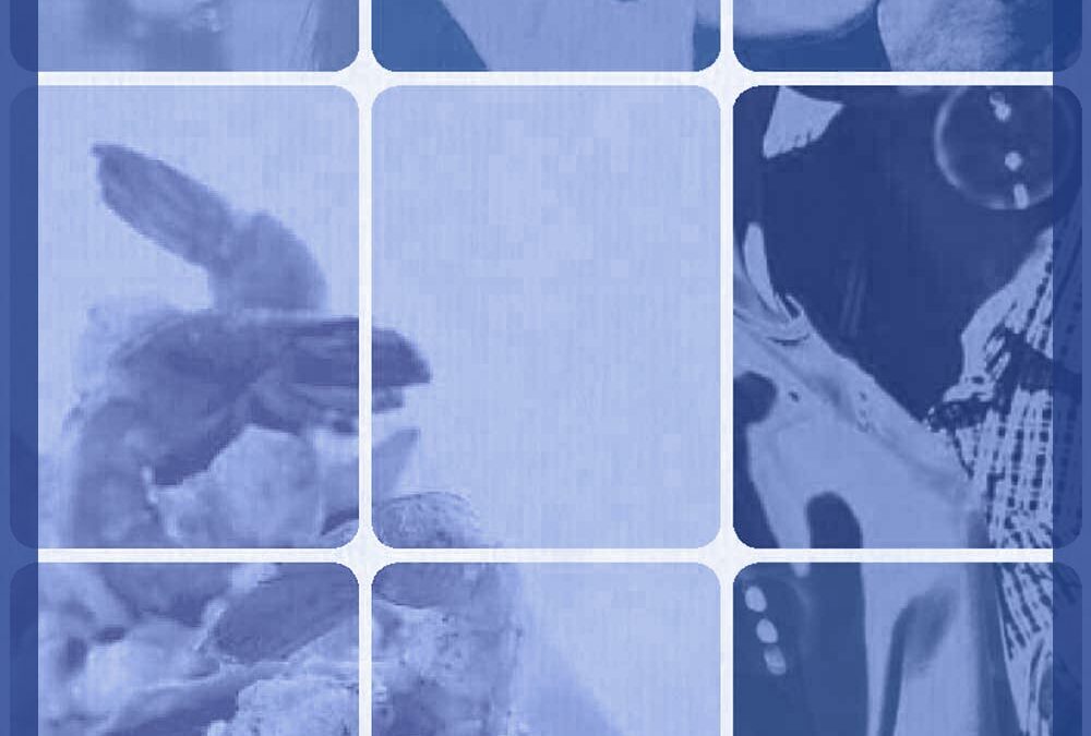 Teaser_S_1000x1000_1