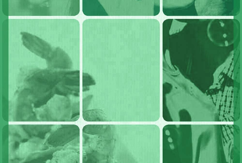 Teaser_S_1000x1000_5