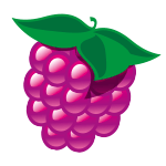 gmf_icon_himbeer