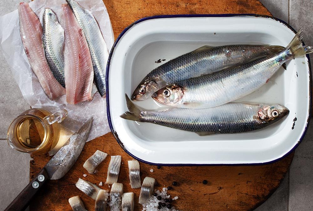 22. August – Tag der Fische